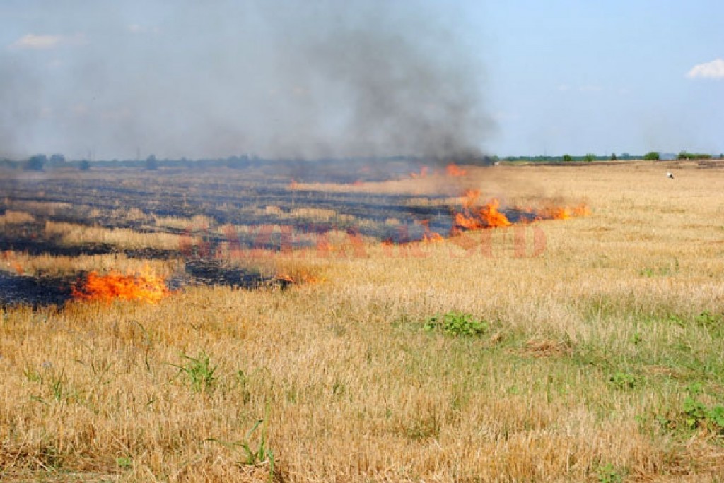 Constanța: Două incendii de vegetație. Pompierii intervin