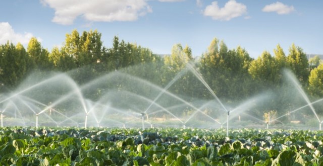 AUDIO – Agricultorii fug de irigații, deși SECETA stăpânește județul Constanța