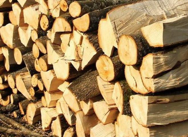 TULCEA. Lemn confiscat pe strada Babadag