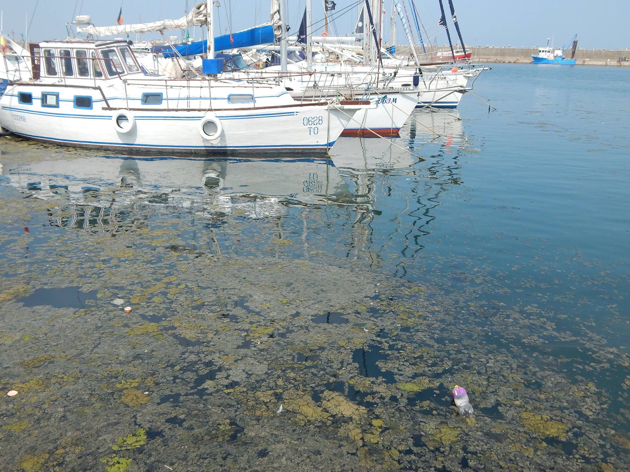 FOTO: Portul turistic Tomis, cotropit de deșeuri și dejecții