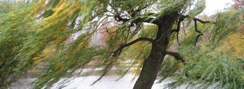 CONSTANȚA/TULCEA. O nouă informare de instabilitate atmosferică