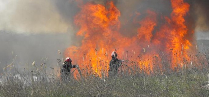 INCENDIU la o fermă din TECHIRGHIOL