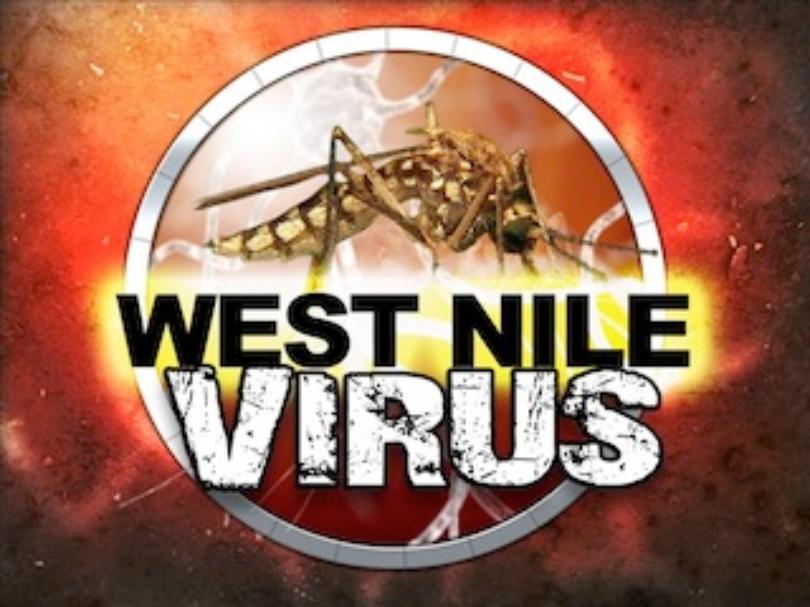 ALERTĂ la BRĂILA! Infecții determinate de virusul West Nile
