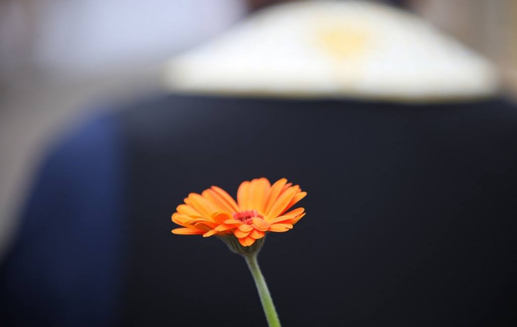 #COLECTIV: 11 luni de la tragedie