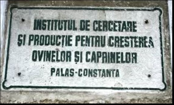 CONSTANȚA. Oieria Palas, reorganizată