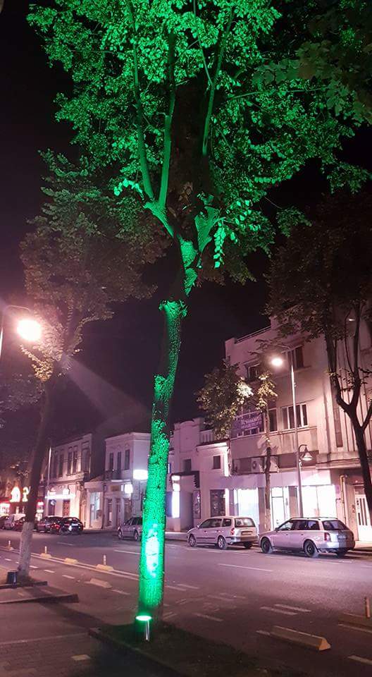 FOTO – Ambient nocturn inedit, pe bulevardul TOMIS