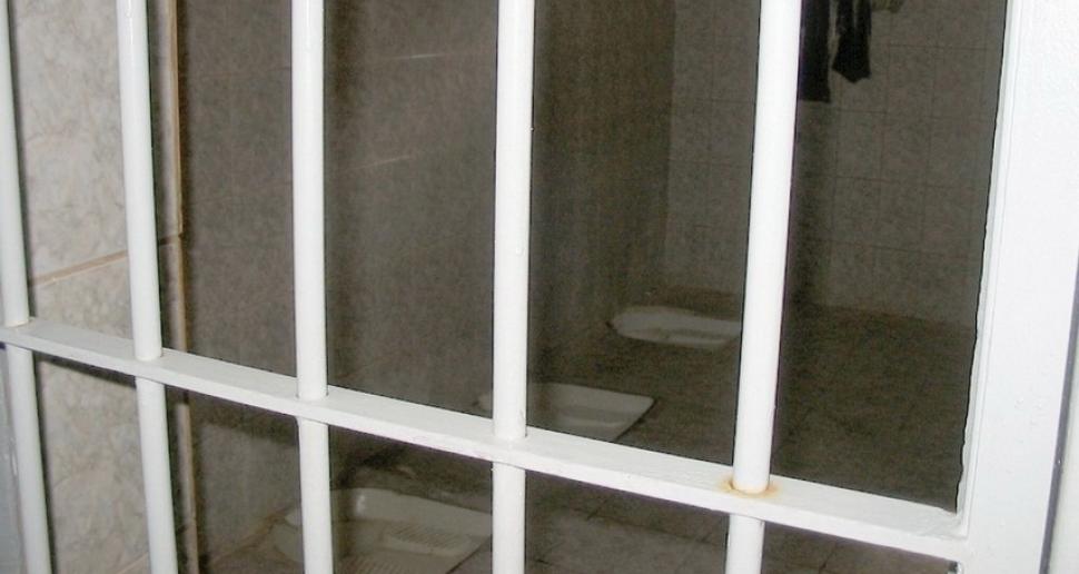 Bărbat din TECHIRGHIOL, arestat pentru zeci de furturi comise în Austria