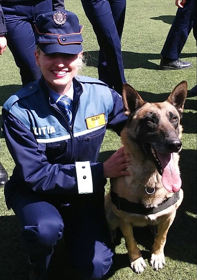 CONSTANȚA: Vreți un câine polițist? IPJ scoate la licitație mai mulți agenți patrupezi