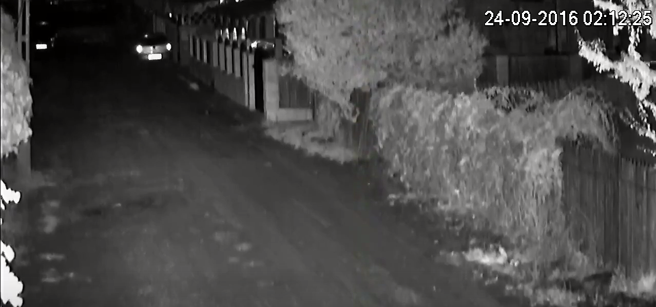 VIDEO: Primele imagini surprinse în timpul cutremurului de sâmbătă dimineață