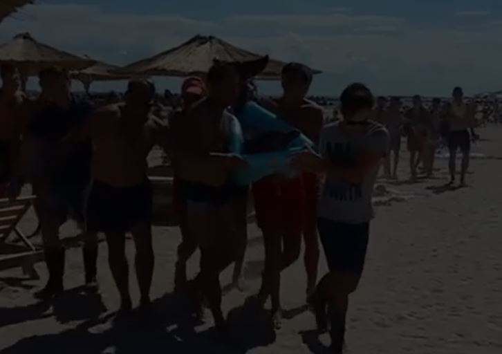 Delfin eșuat, salvat de pe plaja din EFORIE