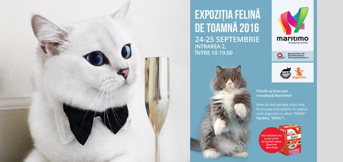 MagnifiCATS, expoziție internațională de feline, la CONSTANȚA!