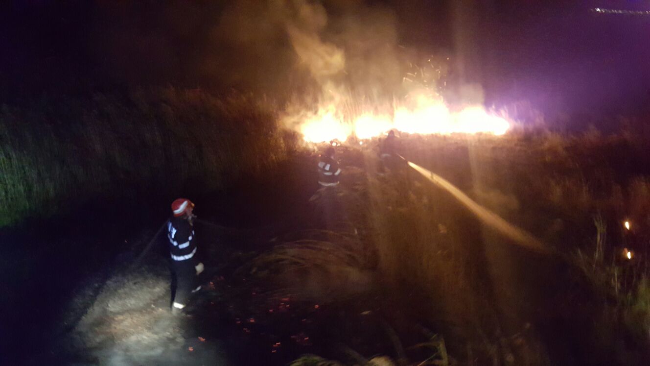 Au ars 250 de hectare de teren în perimetrul Rezervaţiei Biosferei Delta Dunării