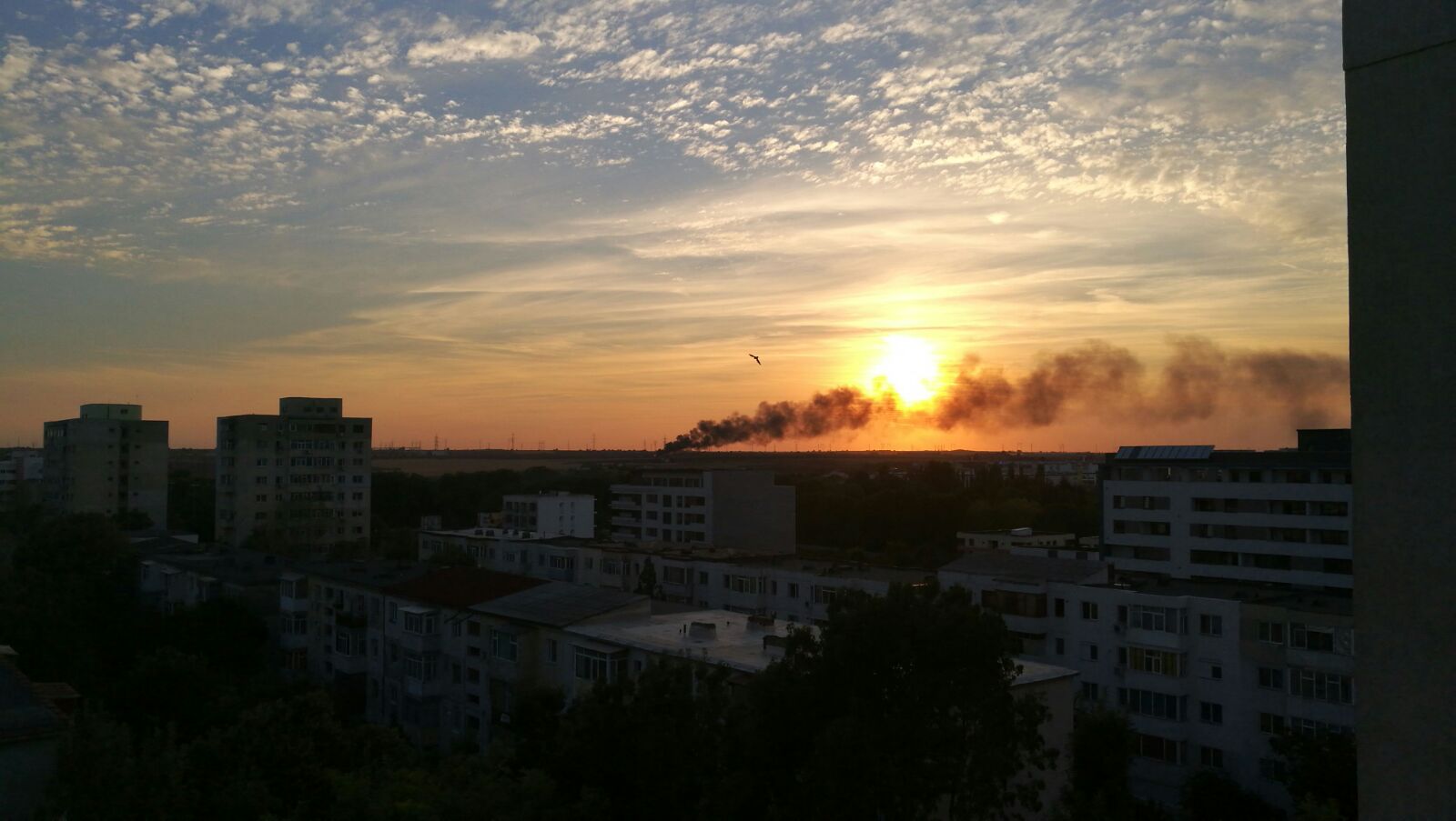 CONSTANȚA: Incendiu pe varianta spre Ovidiu