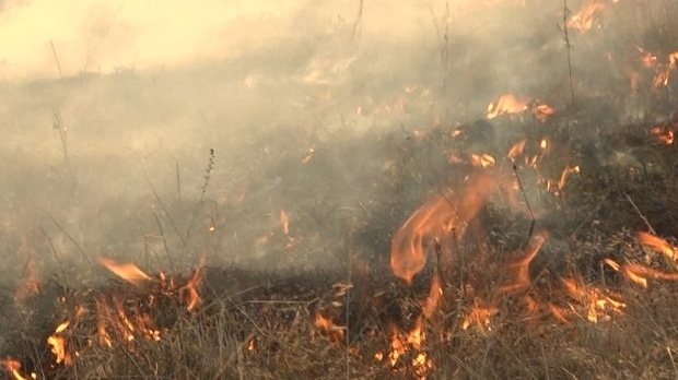 Incendiu de vegetaţie uscată lângă Aeroportul MIHAIL KOGĂLNICEANU