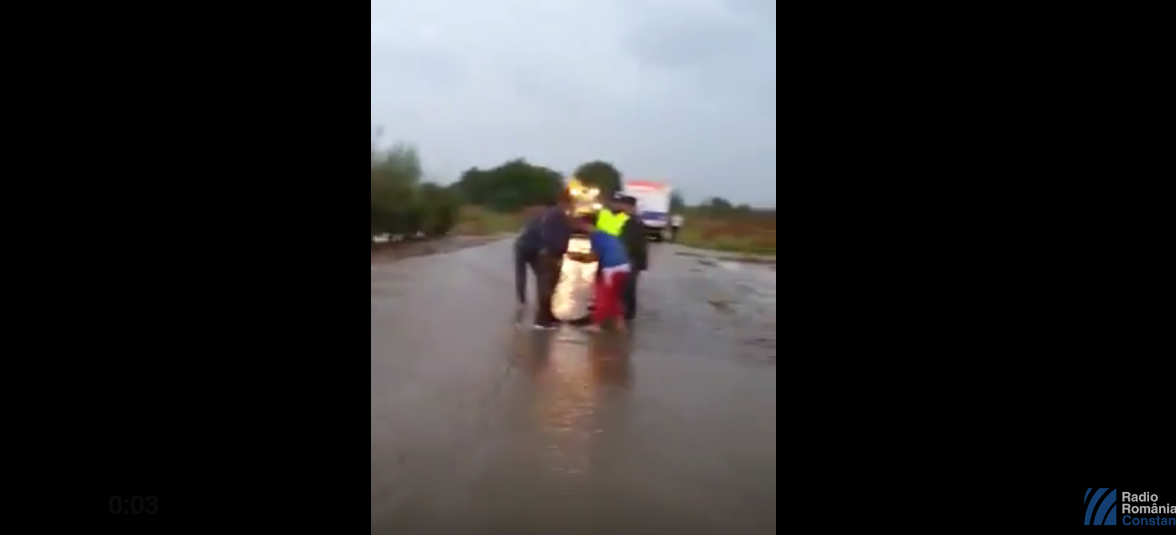 TULCEA/VIDEO: Viitură în comuna Horia. Mașini luate de ape