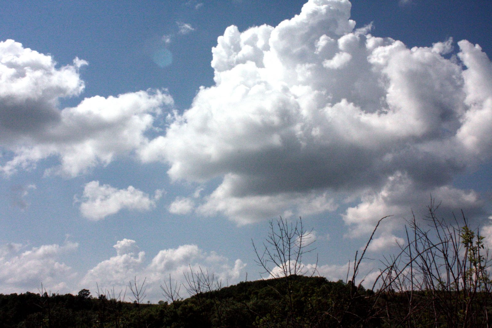 Vreme schimbătoare în Dobrogea