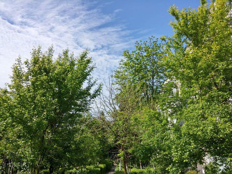 Vreme frumoasă în DOBROGEA