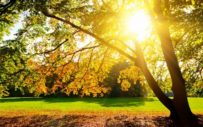 Vreme în încălzire, în DOBROGEA