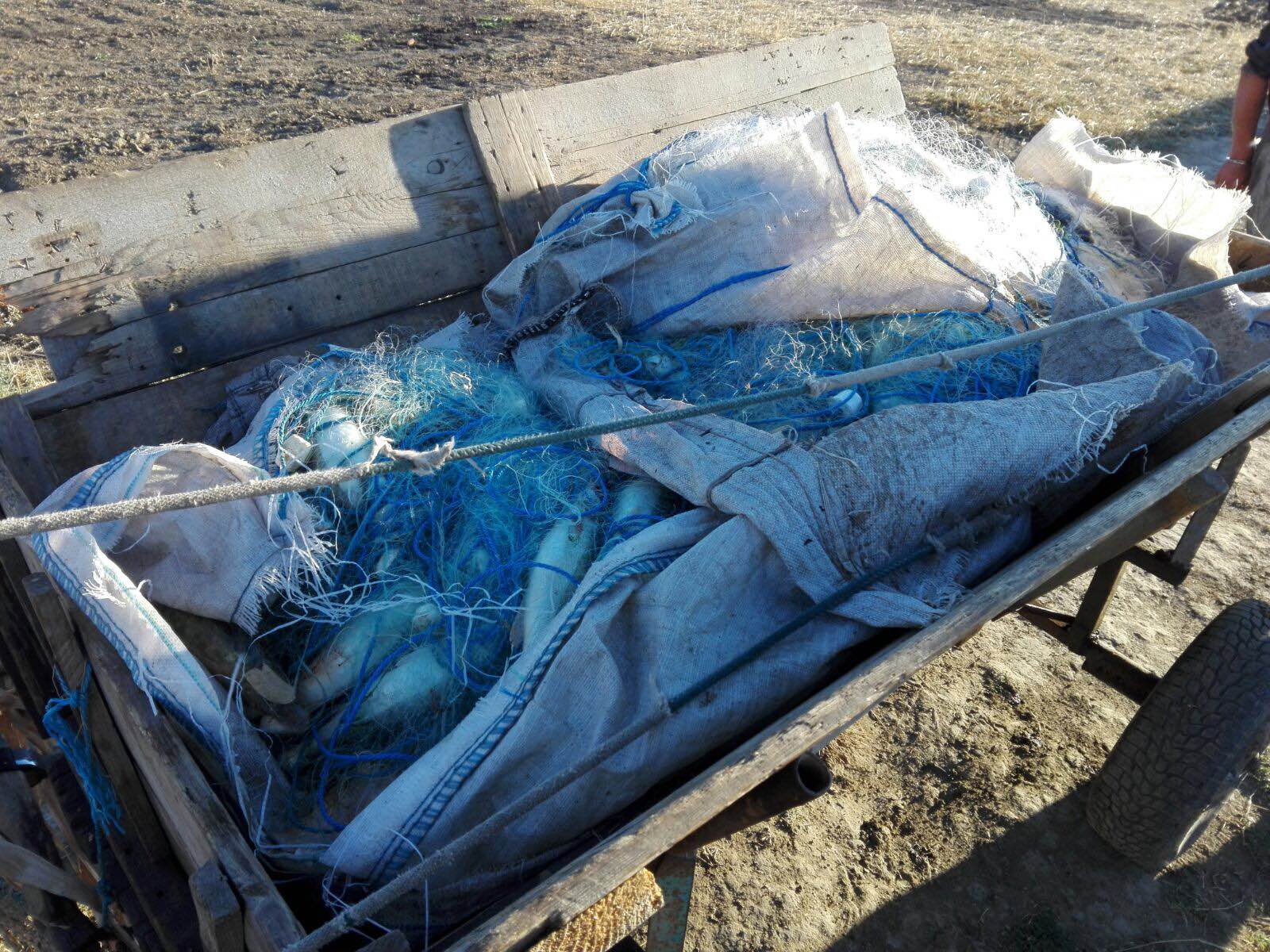 TULCEA/FOTO: Captură a Poliției de Frontieră. 1,5 kilometri de plase monofilament şi 160 kilograme de peşte