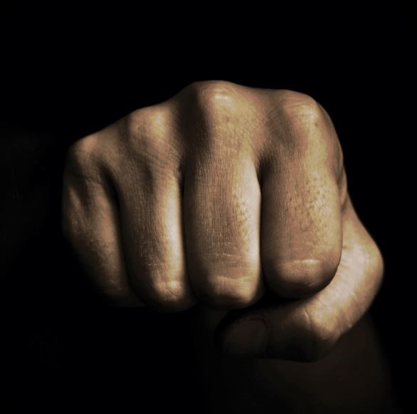 TULCEA: Petrecere cu manele, terminată cu pumni de la polițiști