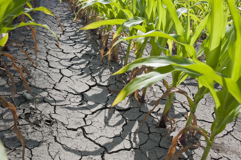 Meteorologii anunţă o toamnă secetoasă. Sfaturi pentru agricultori
