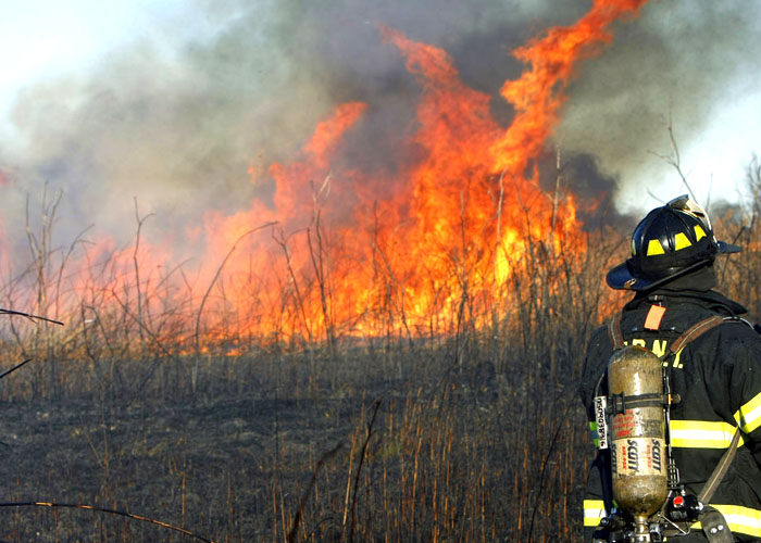 Foto/Video – ISTRIA-VADU: Incendiu URIAȘ în Biosfera Deltei Dunării (update)