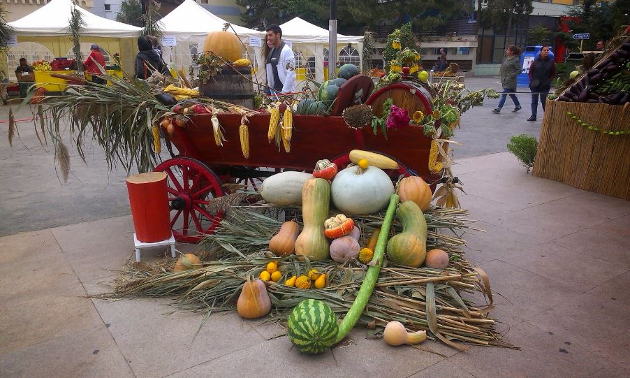 TULCEA: Programul complet al Târgului de Toamnă 2016
