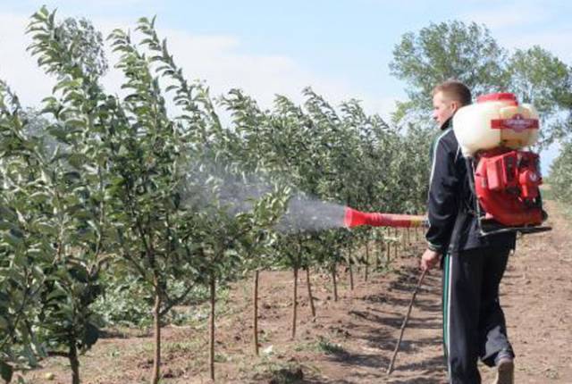 CĂLĂRAȘI: Se vor efectua tratamente pentru combaterea tuturor dăunătorilor vegetației