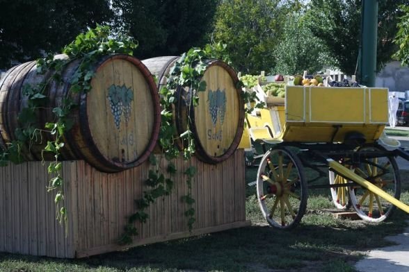 Producția de vin: Moldova – pe plus, Dobrogea și Oltenia – pe minus