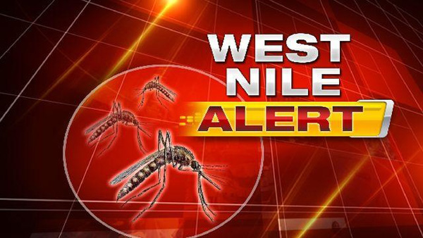 Brăila, Galați, Tulcea, Constanța: Alte cazuri de deces în urma infectării cu virusul West Nile