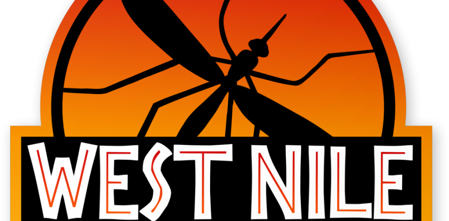 Institutul Cantacuzino confirmă prezența virusului West Nile la o persoană din TULCEA