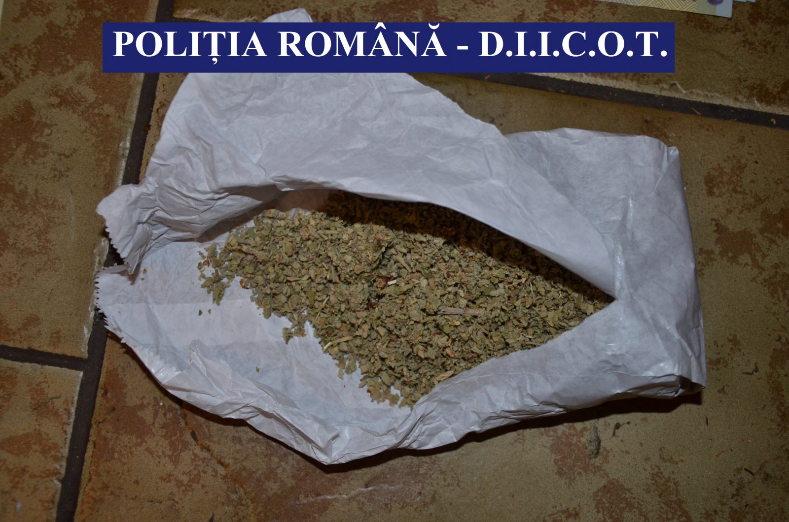 6 suspecți de trafic cu etnobotanice achiziționate din Galați, reținuți la TULCEA