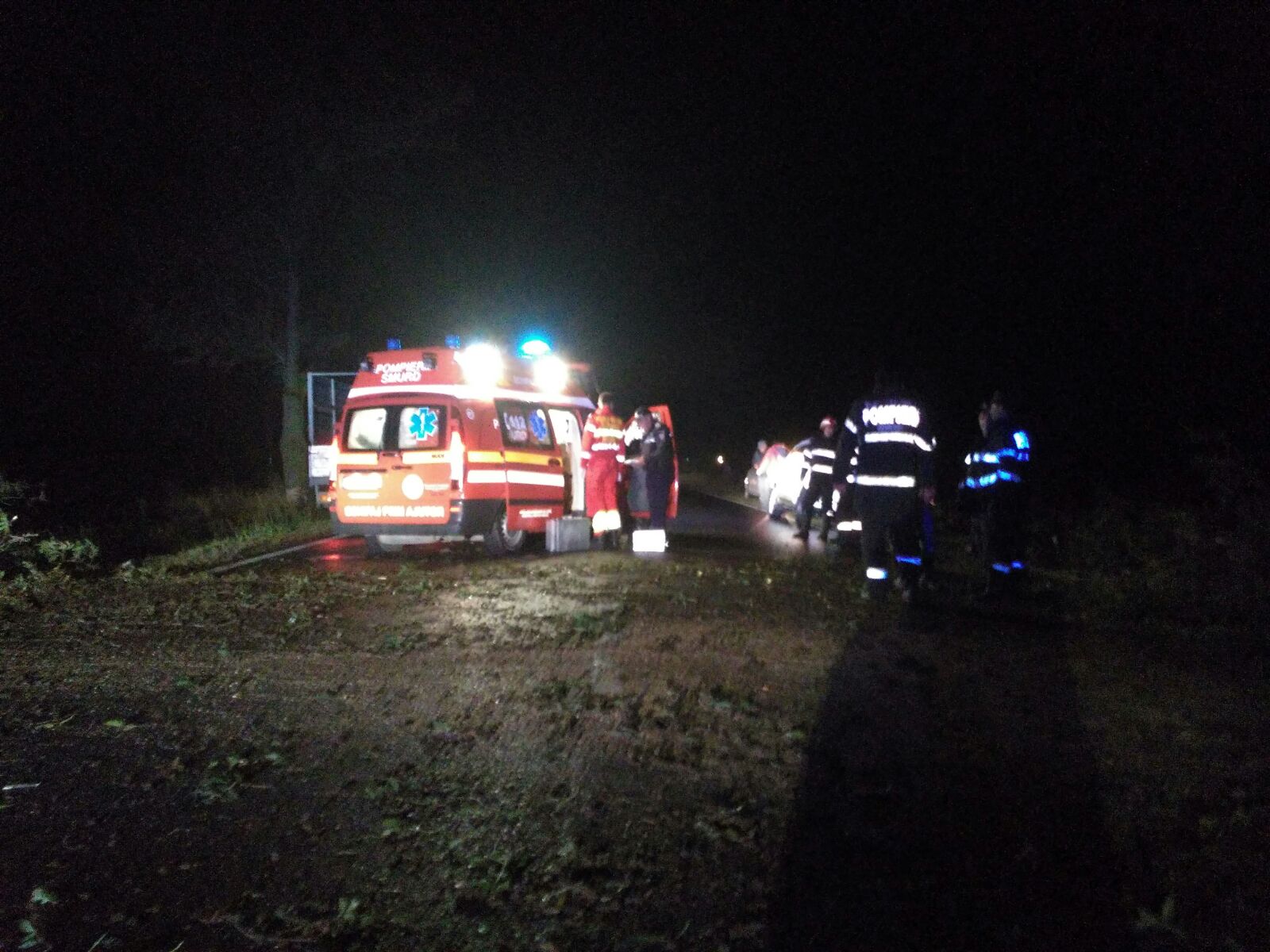 Update – HÂRŞOVA: Tragedie la furat de lemne! Persoană zdrobită de copac