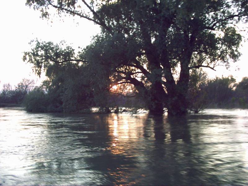 CUM se pot aduce medici în Delta Dunării?