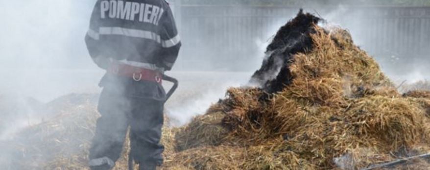 Incendiu între Eforie Nord și Techirghiol