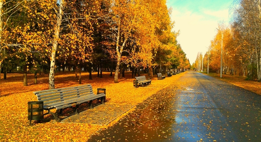Vreme în ușoară încălzire, dar instabilă