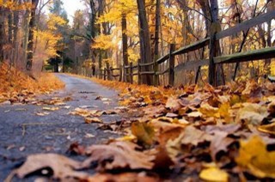 Vreme închisă în DOBROGEA