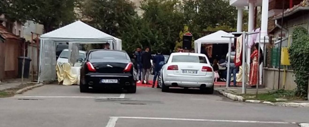 CONSTANȚA: Nuntă în Palas, organizată după legea … junglei!