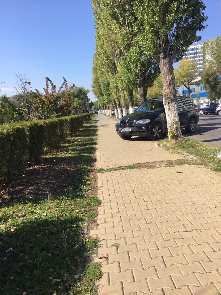 FOTO – MAMAIA. Spațiul verde n-a mai contat!