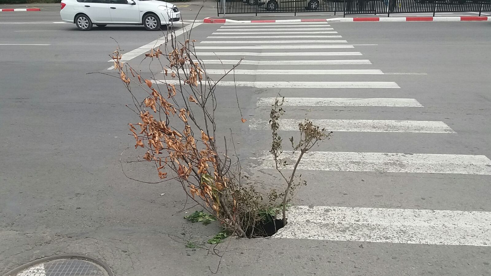 CONSTANȚA: Atenție, șoferi! Pe podul de Butelii s-a surpat asfaltul