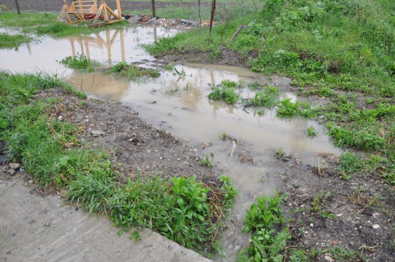 TULCEA: Peste o mie de hectare de teren agricol, INUNDATE