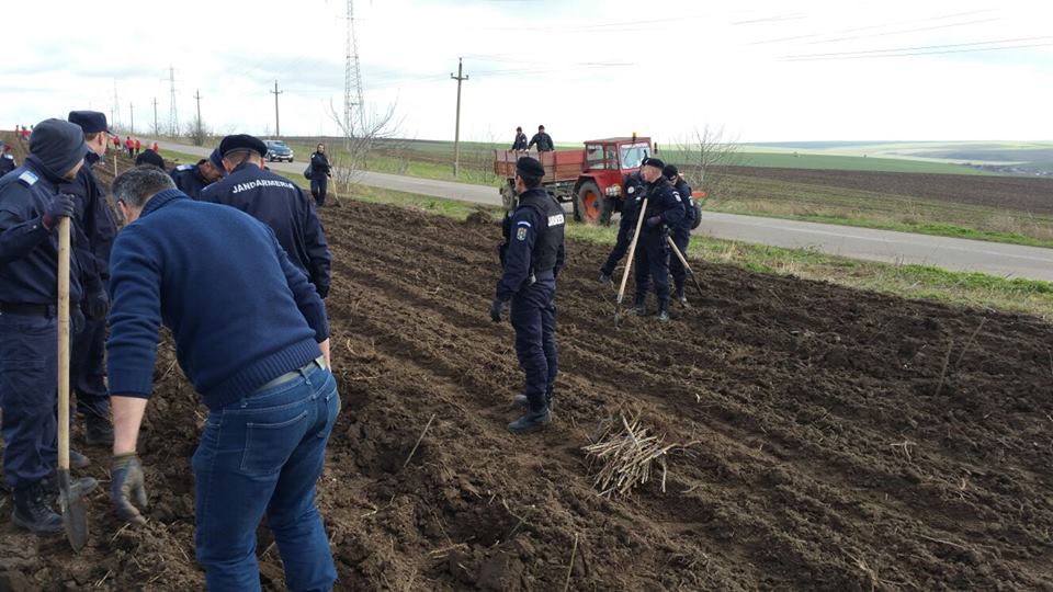 Foto – PEȘTERA: 200 de voluntari, printre care și jandarmi, PLANTEAZĂ FAPTE BUNE!