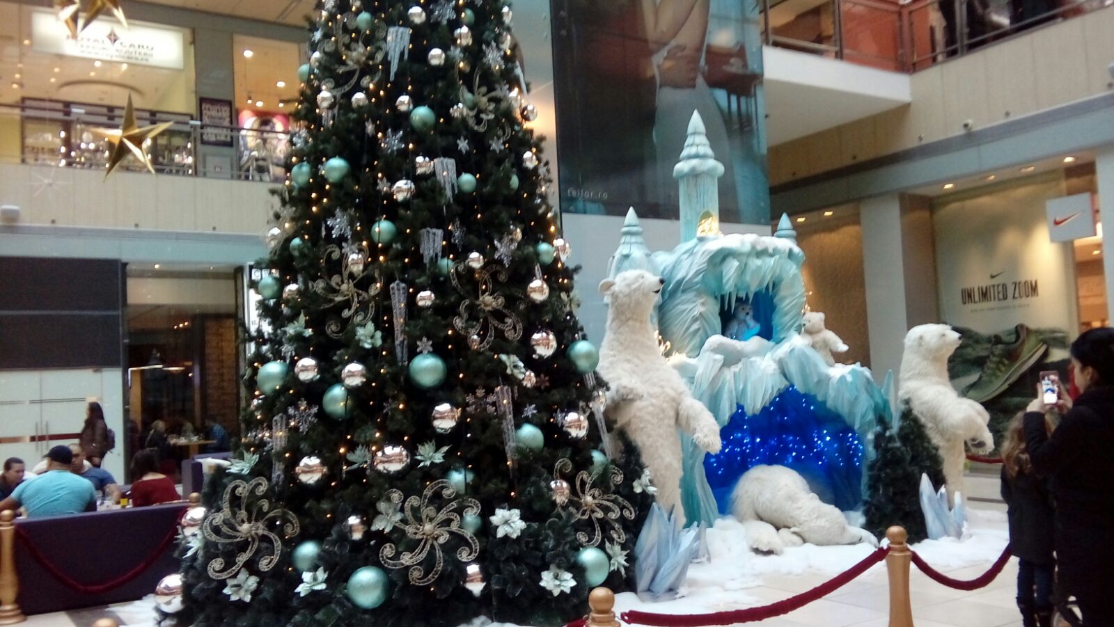 VIDEO/Urșii polari se simt ca în Nordul înghețat într-un mall din CONSTANȚA!