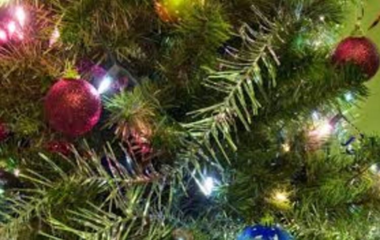 CONSTANȚA: „Tărâmul Magic al Crăciunului” ajunge în Parcul Tăbăcărie