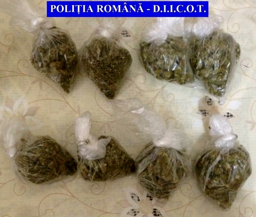 CONSTANȚA: Cinci bărbați arestați pentru trafic de droguri