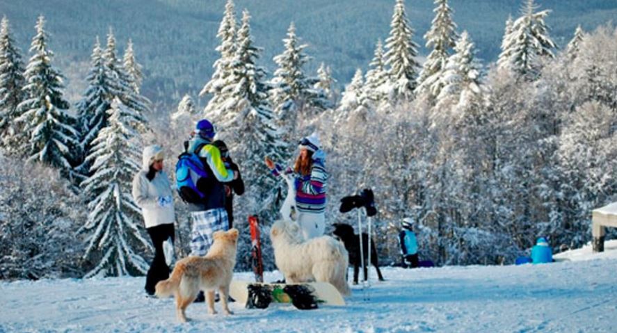 Unde au ales să meargă românii în minivacanţa de 1 decembrie