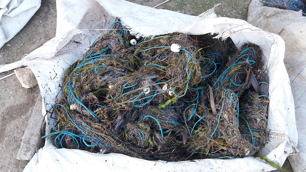 FOTO – TULCEA. Prinși cu sute de kilograme de peşte şi un kilometru de plase de braconaj