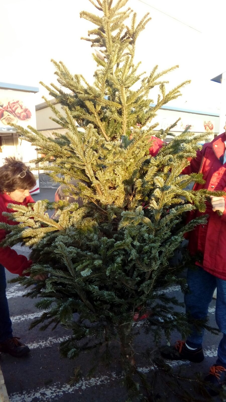 FOTO – Au apărut brazii în hypermarket-urile din CONSTANȚA