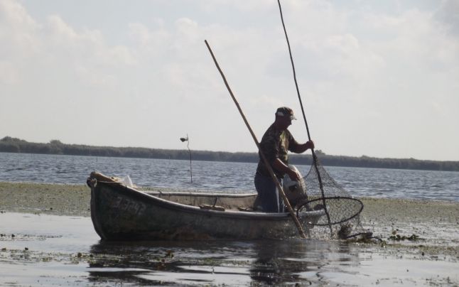 Probleme identificate de organizaţiile de pescari din Delta Dunării privind pescuitul