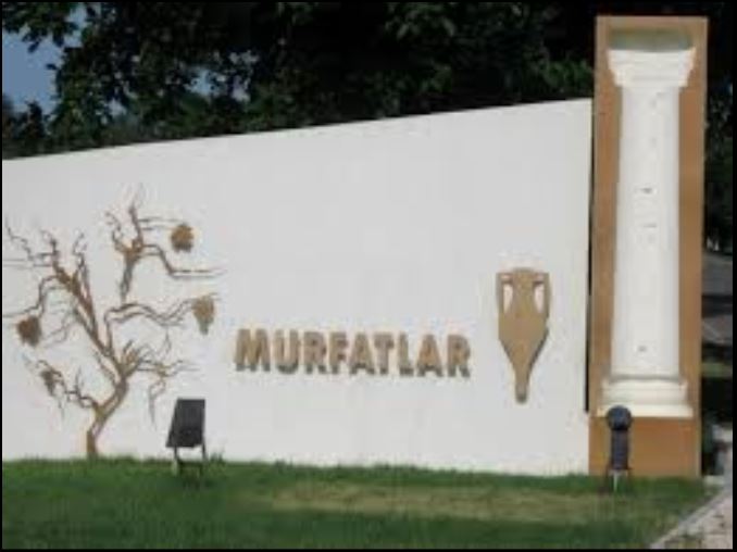 EXCLUSIV/AUDIO – Angajații societății MURFATLAR își vor primi salariile